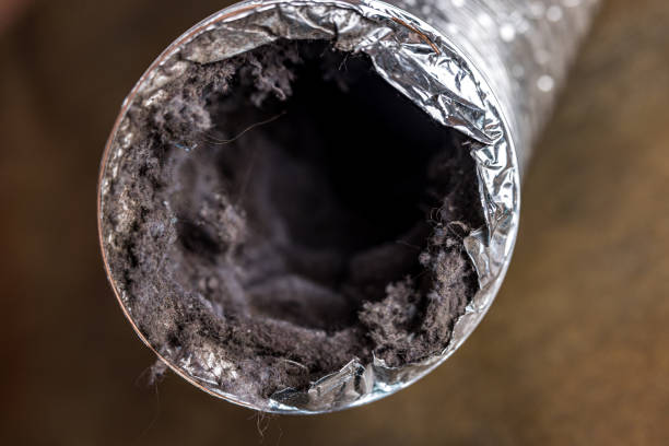 Best Commercial Air Duct Cleaning  in Tomahawk, WI